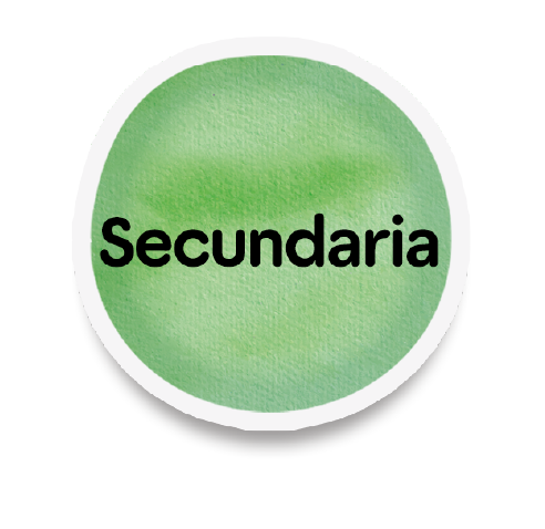 secundaria